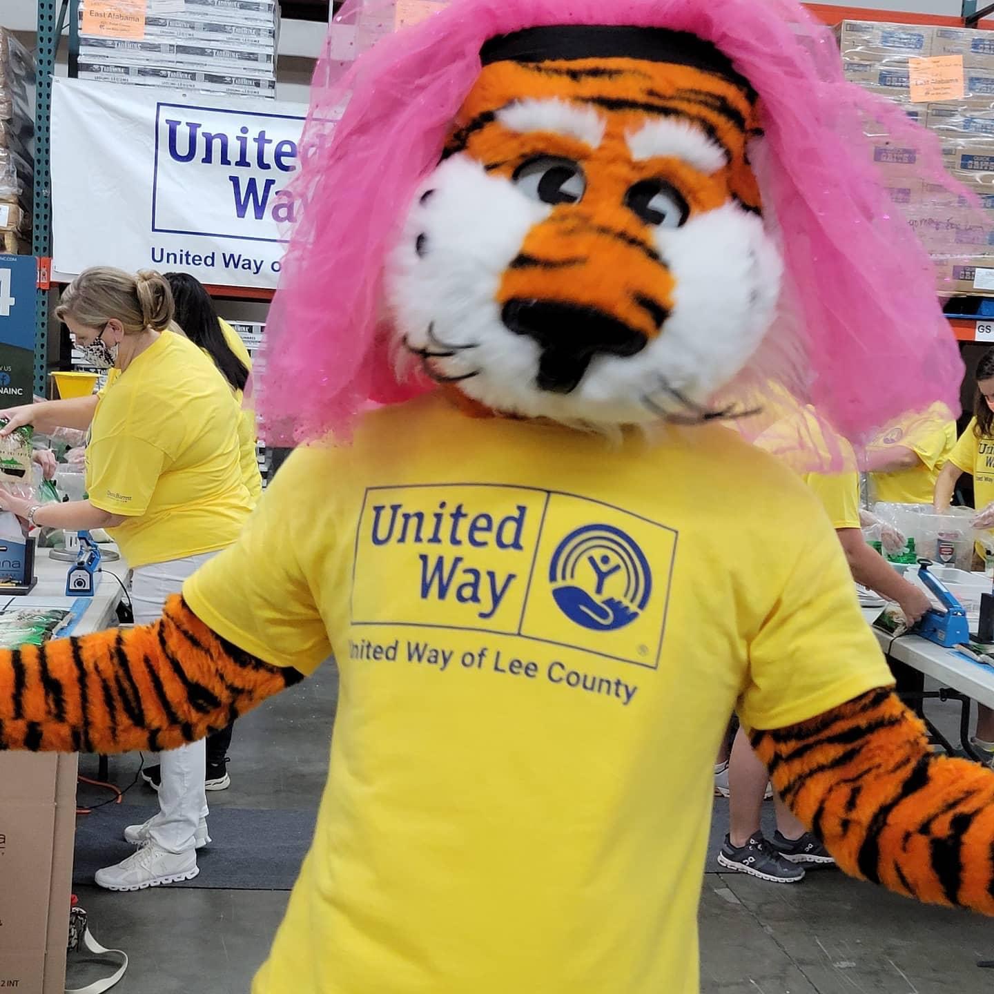 Aubie wearing a tutu as a hat